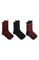 K Bell Socks 3-Pack Socks in Rdmul at Nordstrom, Size 9