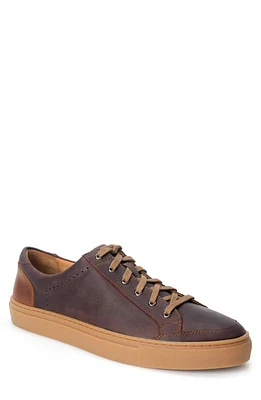 Warfield & Grand Seawall Low Top Sneaker at Nordstrom,