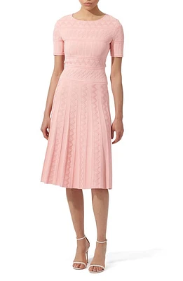 Carolina Herrera Embroidered Knit Fit & Flare Dress Shell Pink at Nordstrom,