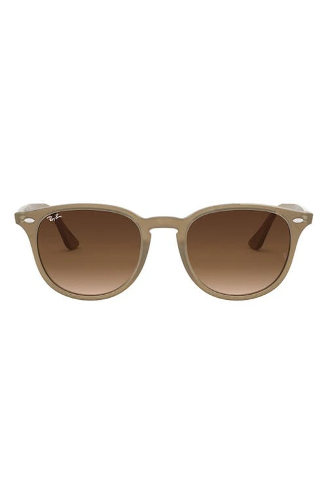 Ray-Ban 51mm Round Sunglasses in Turtledove at Nordstrom