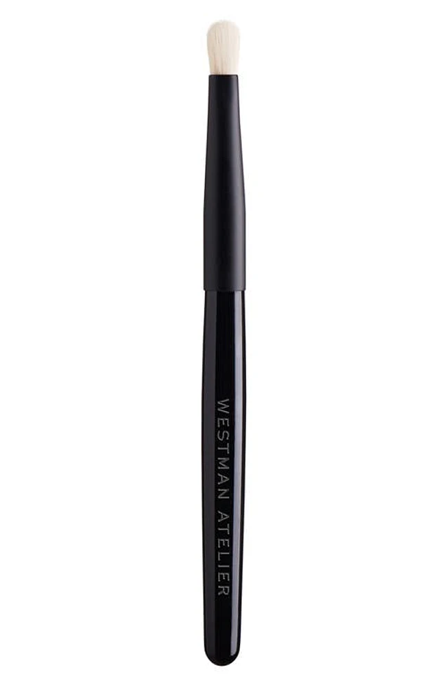 Westman Atelier Spot Check Brush at Nordstrom