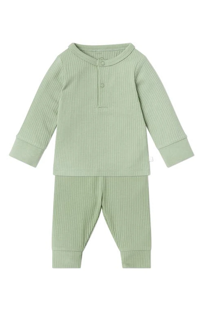 MORI Rib Fitted Two-Piece Pajamas in Ribbed Sage at Nordstrom