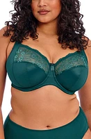 Elomi Morgan Full Figure Underwire Bra at Nordstrom,