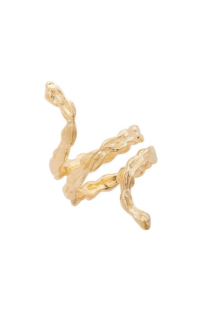 Gas Bijoux Liane Ring in Gold at Nordstrom