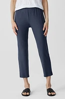 Eileen Fisher High Waist Slim Crop Pants at Nordstrom,