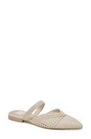 Dolce Vita Kaline Raffia Pointed Toe Mule at Nordstrom,