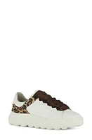 Geox Spherica Sneaker at Nordstrom