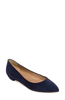 BERNARDO FOOTWEAR Fritz Pointed Toe Flat at Nordstrom,