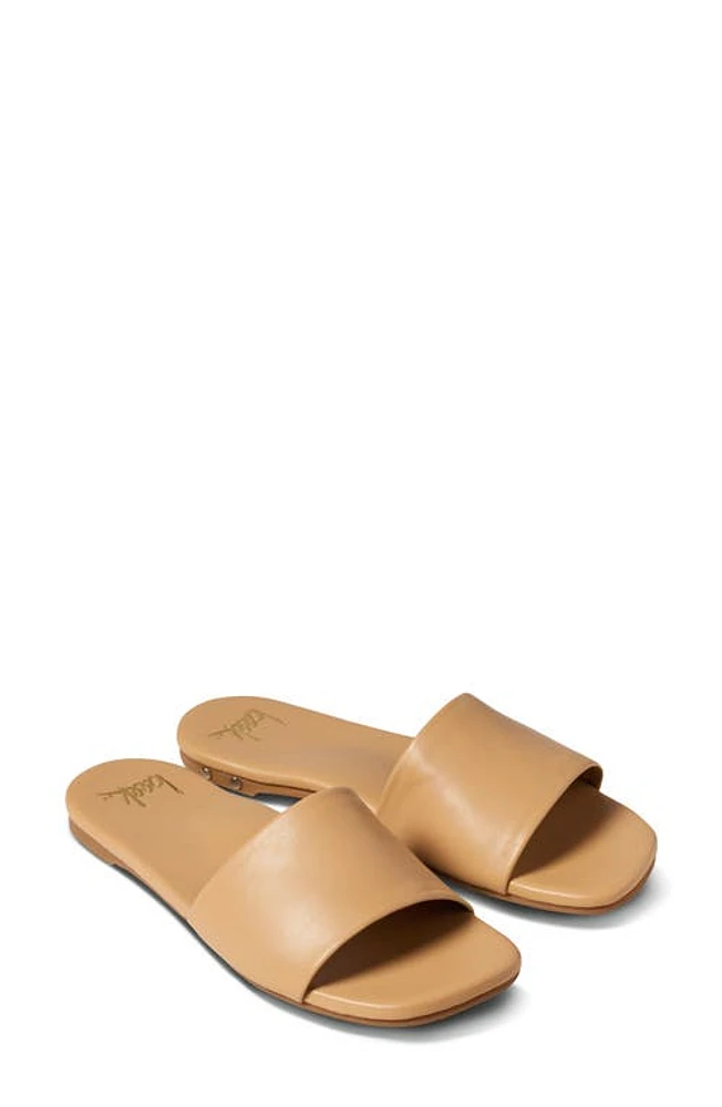 Beek Honeybird Square Toe Slide Sandal at Nordstrom,