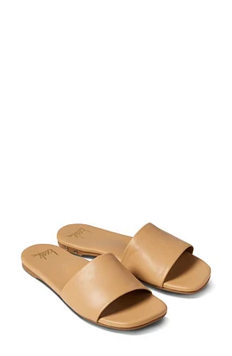 Beek Honeybird Square Toe Slide Sandal at Nordstrom,