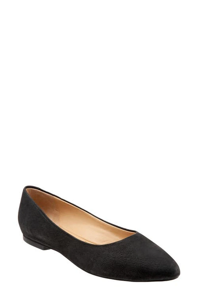 Trotters Estee Ballet Flat Black Nubuck at Nordstrom,