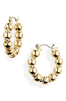 Laura Lombardi Maremma Beaded Hoop Earrings in Brass at Nordstrom