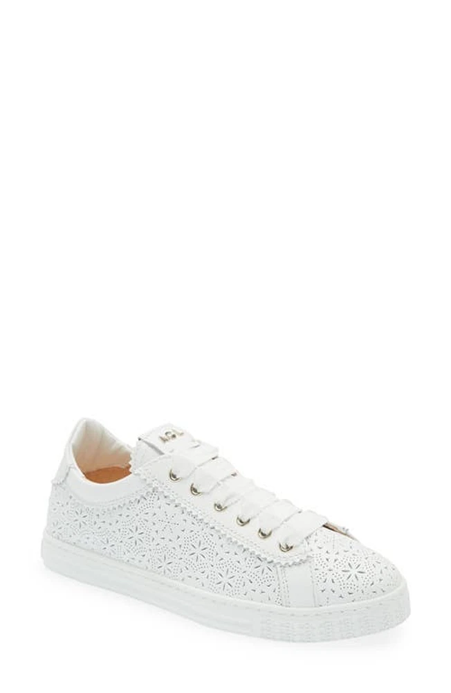 AGL Sade Perforated Sneaker White at Nordstrom,