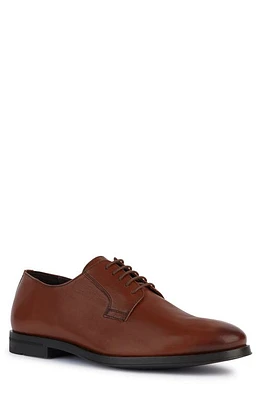 Geox Decio Derby at Nordstrom,