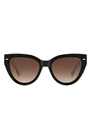 Carrera Eyewear 55mm Gradient Cat Eye Sunglasses in /Brown Gradient at Nordstrom