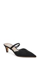 Dolce Vita Kanika Kitten Heel Pump Suede at Nordstrom,