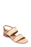 BERNARDO FOOTWEAR Jasper Block Heel Sandal at Nordstrom,