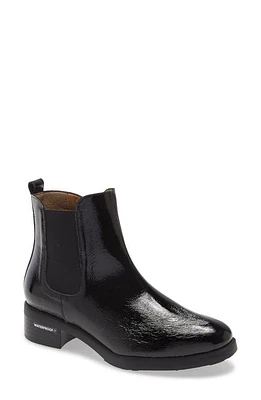 Wonders Waterproof Leather Bootie Black at Nordstrom,