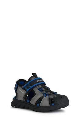 Geox Airadyum Water Friendly Sandal Dark Grey/Royal at Nordstrom,