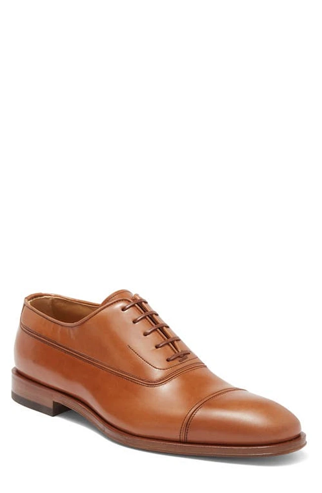 FERRAGAMO Fermin Cap Toe Oxford Dark Cuoio New Biscotto at Nordstrom,