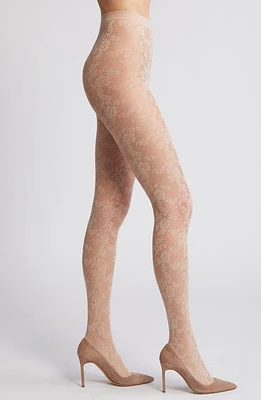 Oroblu Lace Tights at Nordstrom,