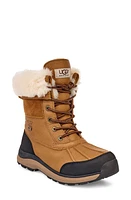 UGG(r) Adirondack III Waterproof Bootie at Nordstrom,