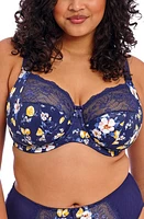 Elomi Morgan Full Figure Underwire Bra at Nordstrom,