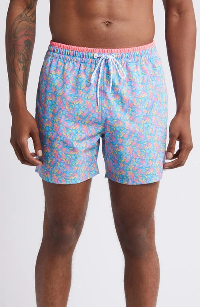 Chubbies Classic Lined 5.5-Inch Swim Trunks Medium Blue at