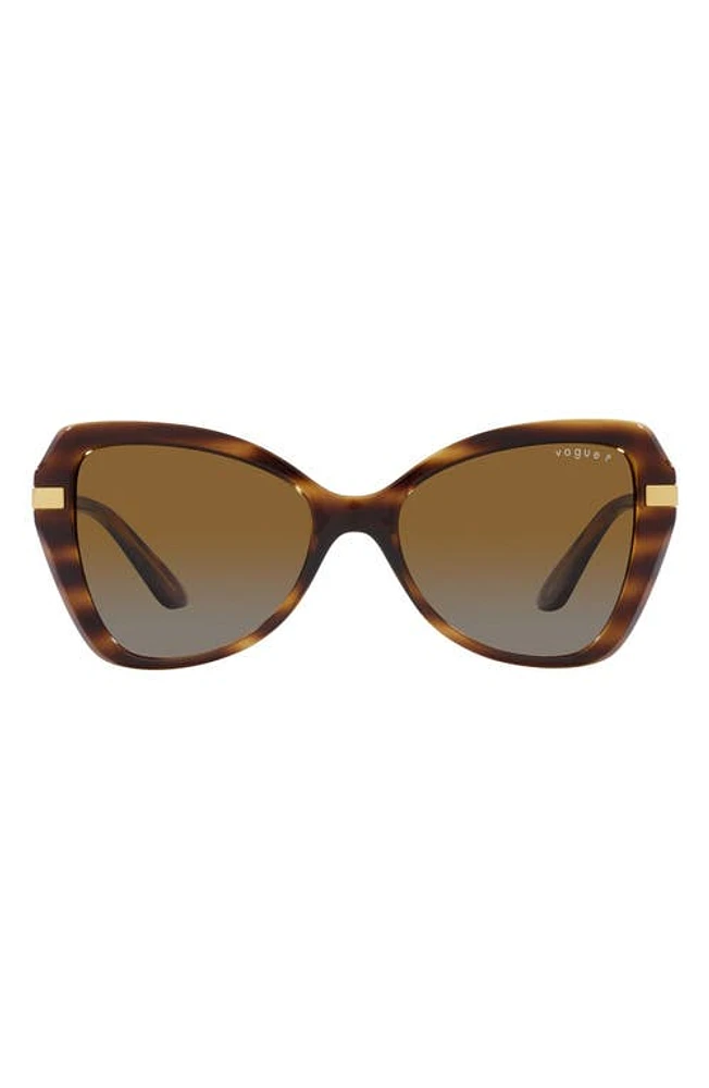 VOGUE 53mm Gradient Polarized Butterfly Sunglasses in Dark Havana at Nordstrom