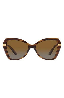 VOGUE 53mm Gradient Polarized Butterfly Sunglasses in Dark Havana at Nordstrom