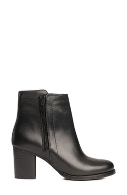 Frye Addie Dual Zip Bootie Black - Grinta at Nordstrom,