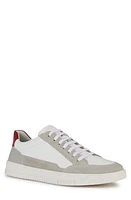 Geox Segnale Sneaker at Nordstrom,