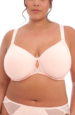 Elomi Charley Full Figure Spacer Underwire Bra at Nordstrom,