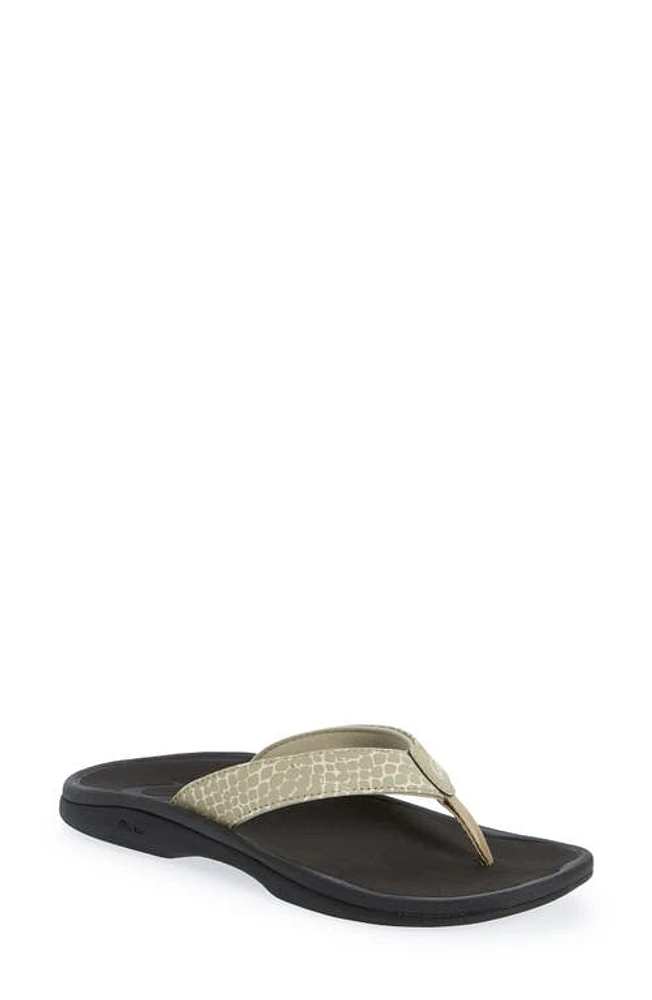 OluKai Ohana P'ai Flip Flop in Silt Mo at Nordstrom, Size 11