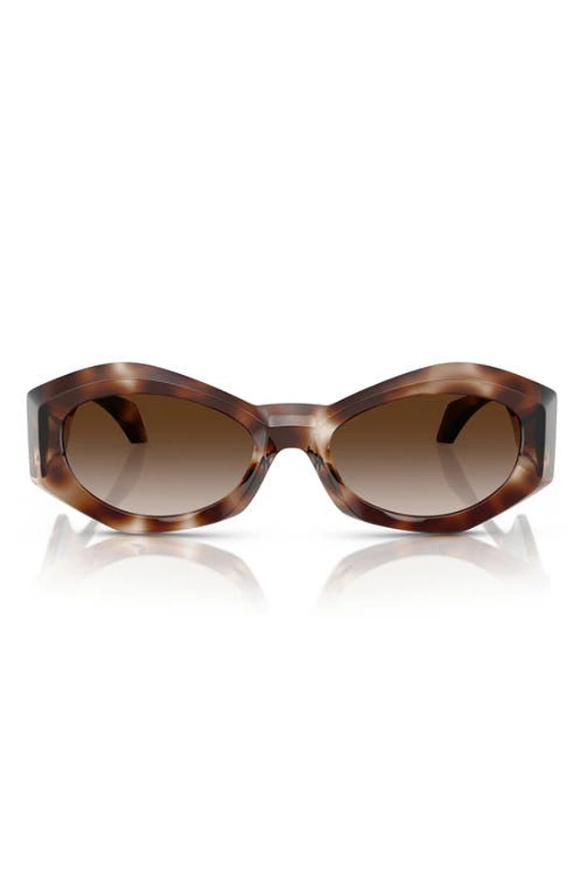 Versace 54mm Gradient Irregular Sunglasses in Havana at Nordstrom