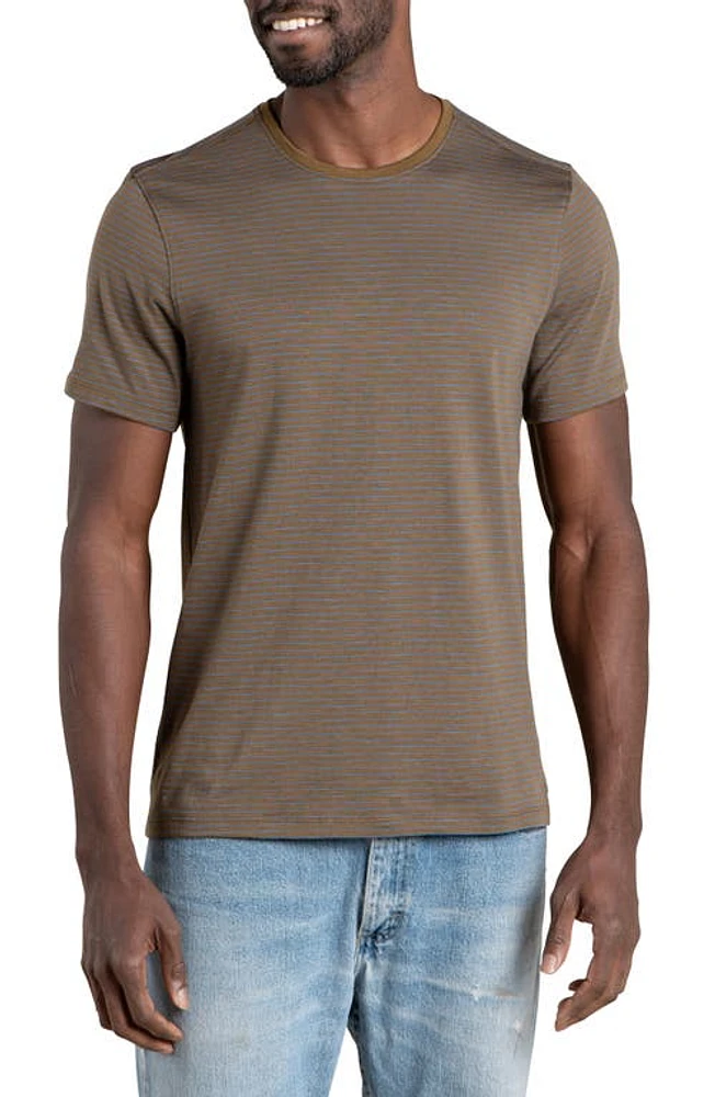 Toad & Co Tempo Crewneck T-Shirt Fir Stripe at Nordstrom,