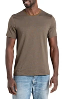 Toad & Co Tempo Crewneck T-Shirt Fir Stripe at Nordstrom,