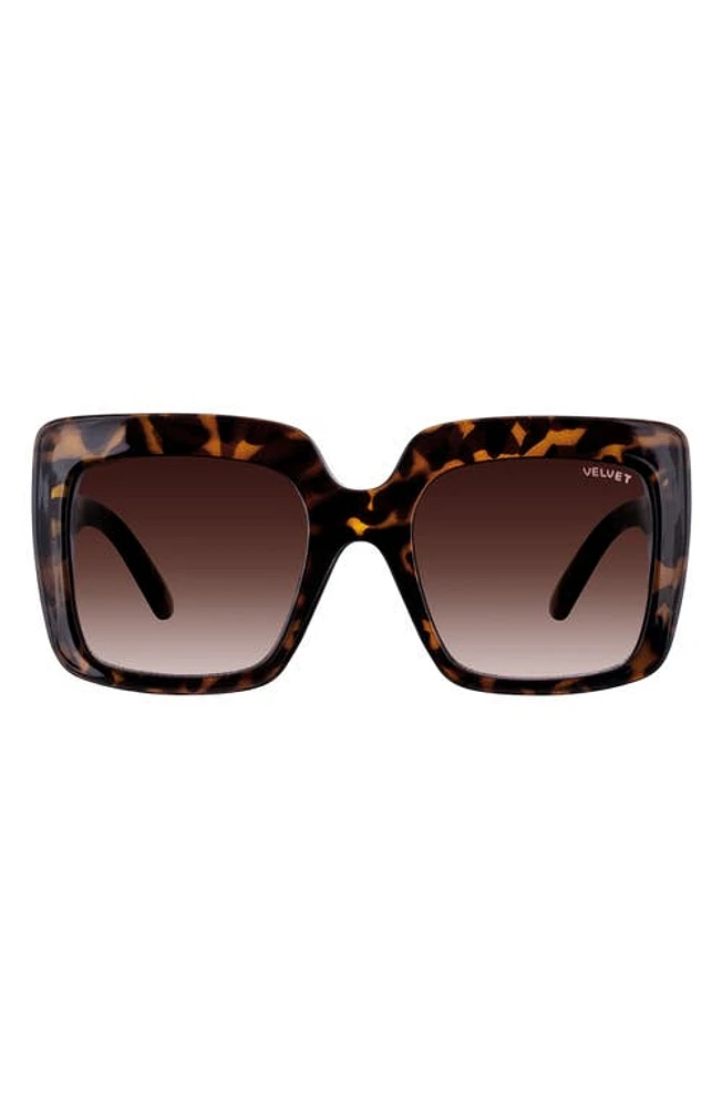 Velvet Eyewear Gina 57mm Square Sunglasses in Tortoise at Nordstrom