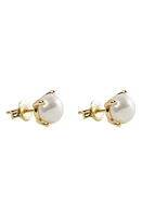 Argento Vivo Sterling Silver Freshwater Pearl Stud Earrings in Gold at Nordstrom