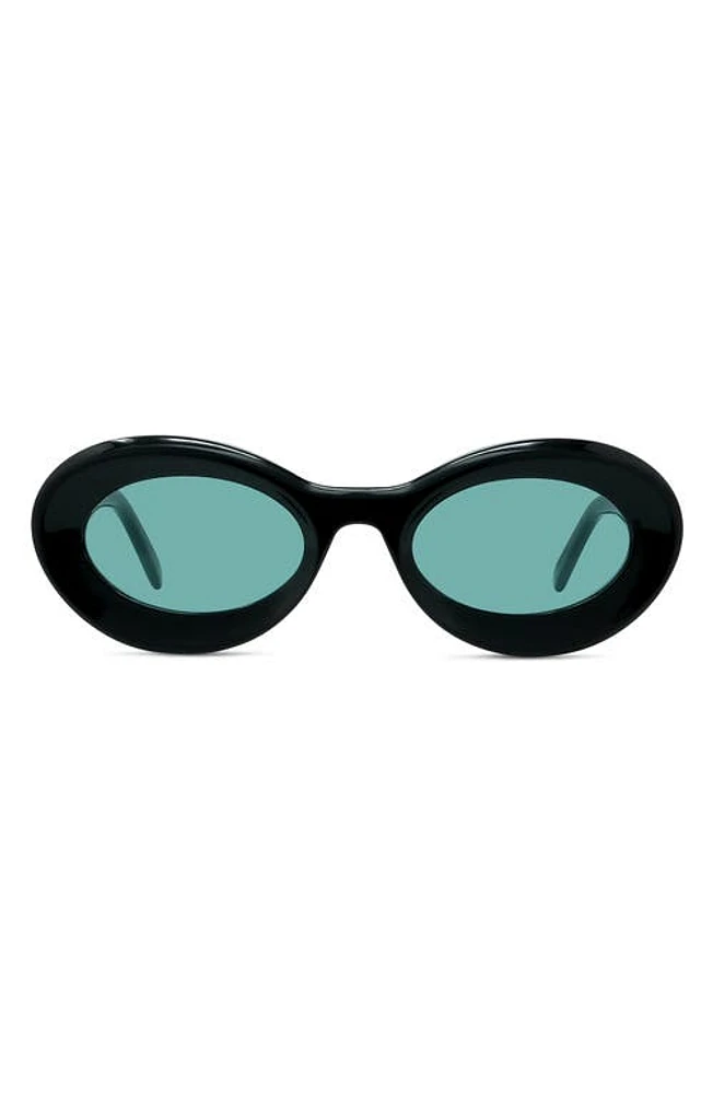 Loewe x Paula's Ibiza Small 50mm Oval Sunglasses in Shiny Black /Blue at Nordstrom