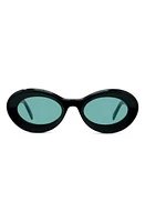 Loewe x Paula's Ibiza Small 50mm Oval Sunglasses in Shiny Black /Blue at Nordstrom