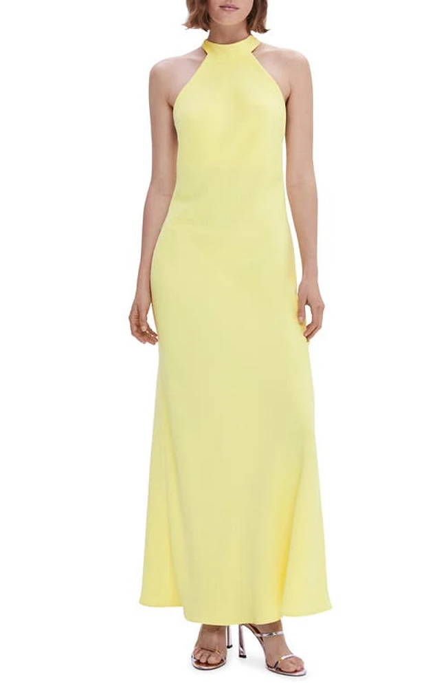 MANGO Open Back Halter Neck Maxi Dress in Pastel Yellow at Nordstrom, Size 2