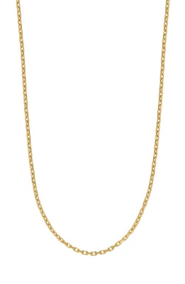 Bony Levy Men's 14k Gold Rolo Chain Necklace in 14K Yellow Gold at Nordstrom, Size 22