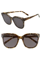 DIFF Gia 62mm Oversize Square Sunglasses in Sea Turtle Tortoise/Grey at Nordstrom