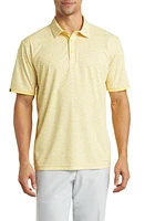 Swannies Fore Scatter Print Golf Polo at Nordstrom,