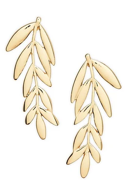 Nordstrom Botanical Leaf Drop Earrings in Gold at Nordstrom