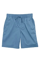 Vans Kids' Range Shorts in Copen Blue at Nordstrom, Size Xl