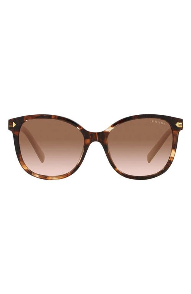 Prada 53mm Square Sunglasses in Brown Tort at Nordstrom