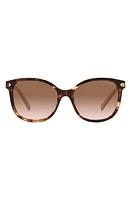 Prada 53mm Square Sunglasses in Brown Tort at Nordstrom