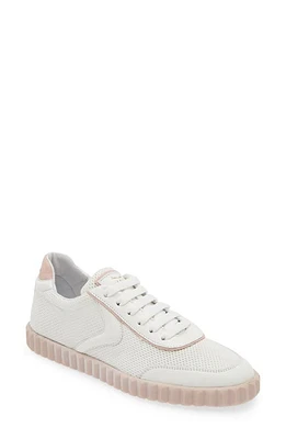 Voile Blanche Selia Sneaker White/Rose at Nordstrom,